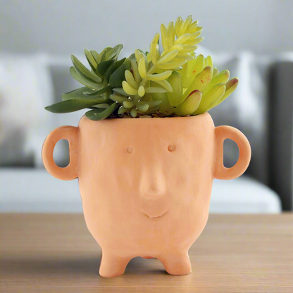 Artificial Plant in Face Terracotta Pot Small