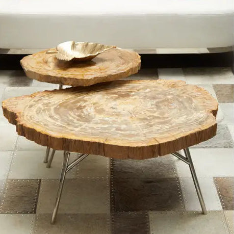 Petrified wood coffee table with round irregular top and slanted metal legs, offering a minimal and nature-inspired design.