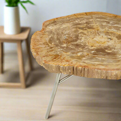 Petrified wood coffee table with round irregular top and slanted metal legs, offering a minimal and nature-inspired design.