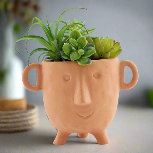 Artificial Plant in Face Terracotta Pot Large