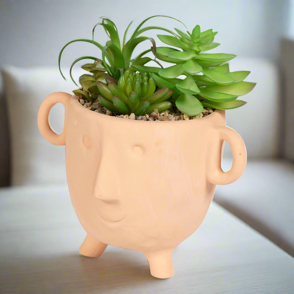 Artificial Plant in Face Terracotta Pot Large