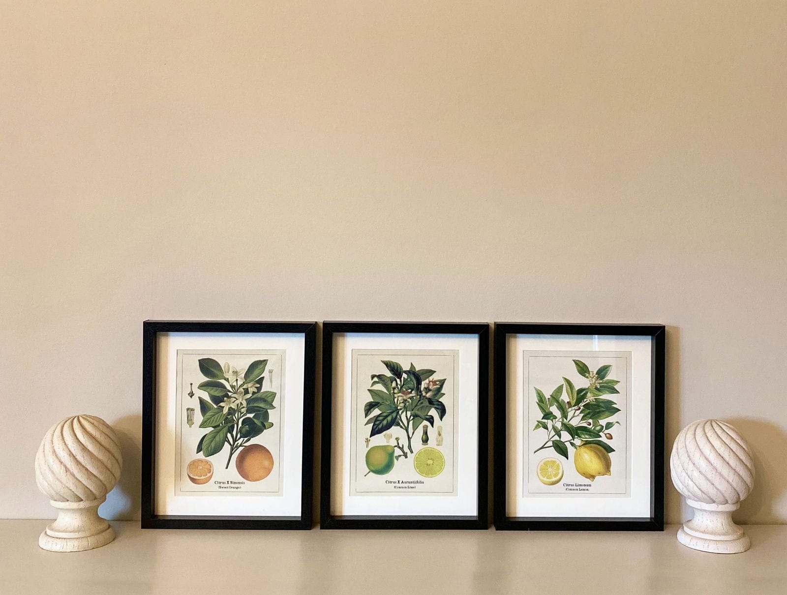 Kitchen Citrus Prints with Frames - Lindo Living