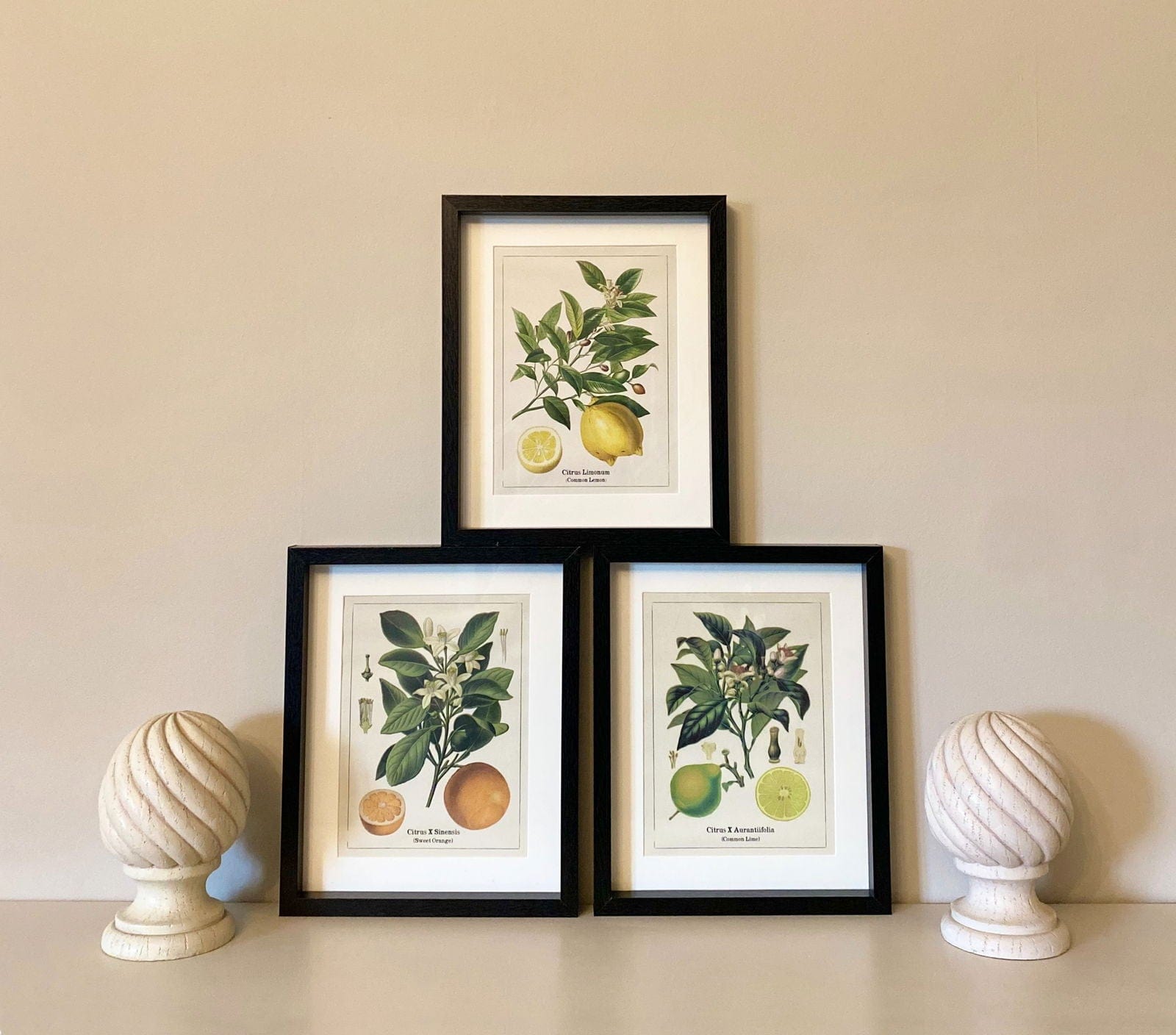 Kitchen Citrus Prints with Frames - Lindo Living