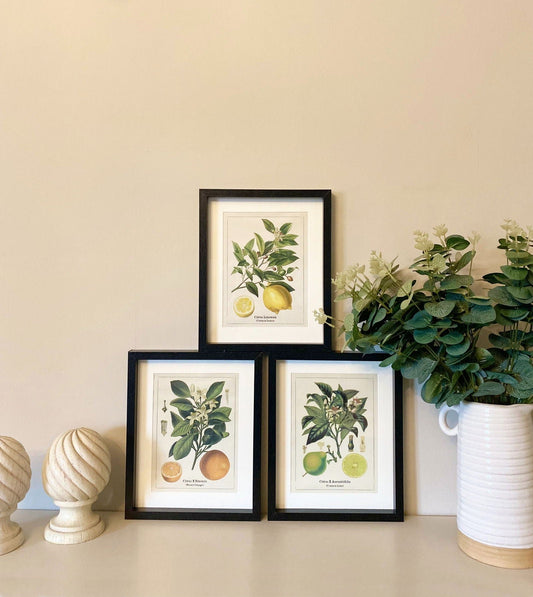 Kitchen Citrus Prints with Frames - Lindo Living