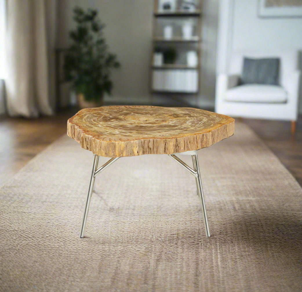 Petrified wood coffee table with round irregular top and slanted metal legs, offering a minimal and nature-inspired design.